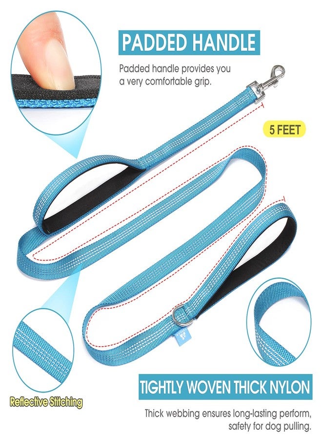 با بِت طوق كلاب BAAPET بمقبضين، مقبضان مبطنان ناعمان مع مقبض للتحكم في حركة المرور، مناسب للكلاب الصغيرة والمتوسطة والكبيرة (3/4 بوصة × 5 أقدام، أزرق) - Image 2